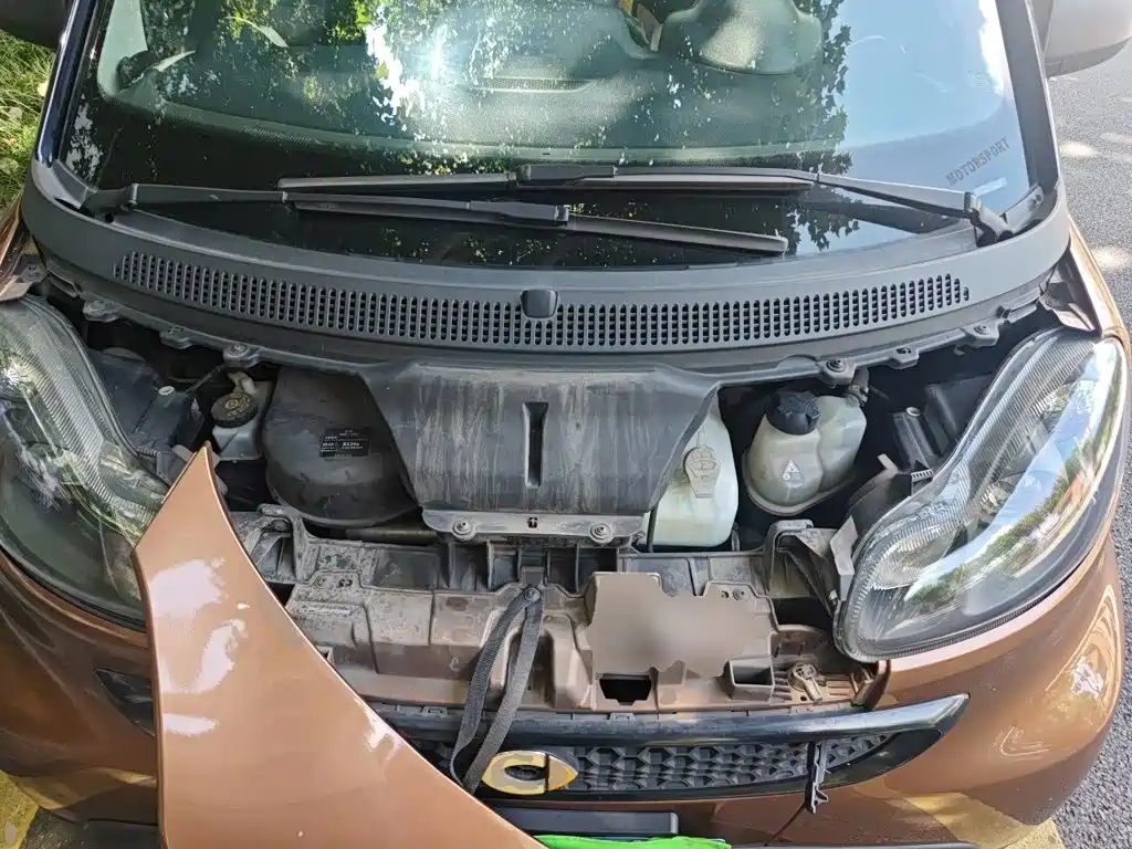 smart Smart Fortwo — миниатюра 11