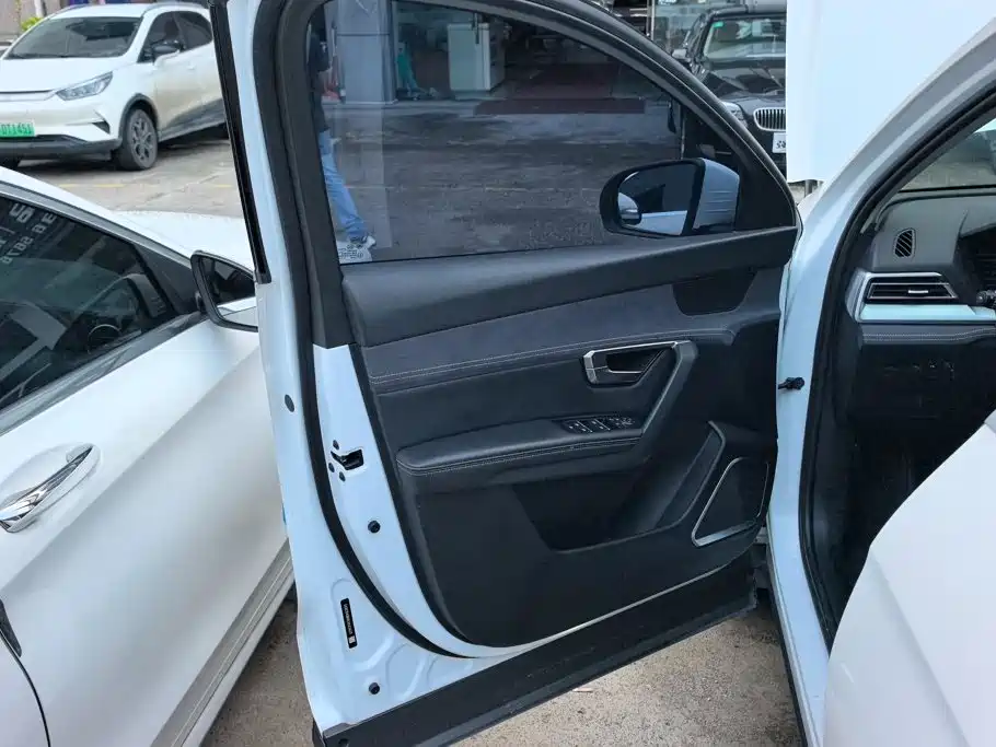 BYD Pro New Energy — миниатюра 7