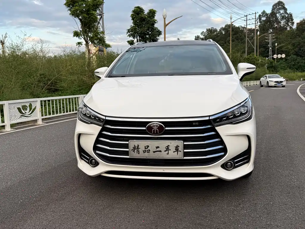 BYD MAX — миниатюра 3