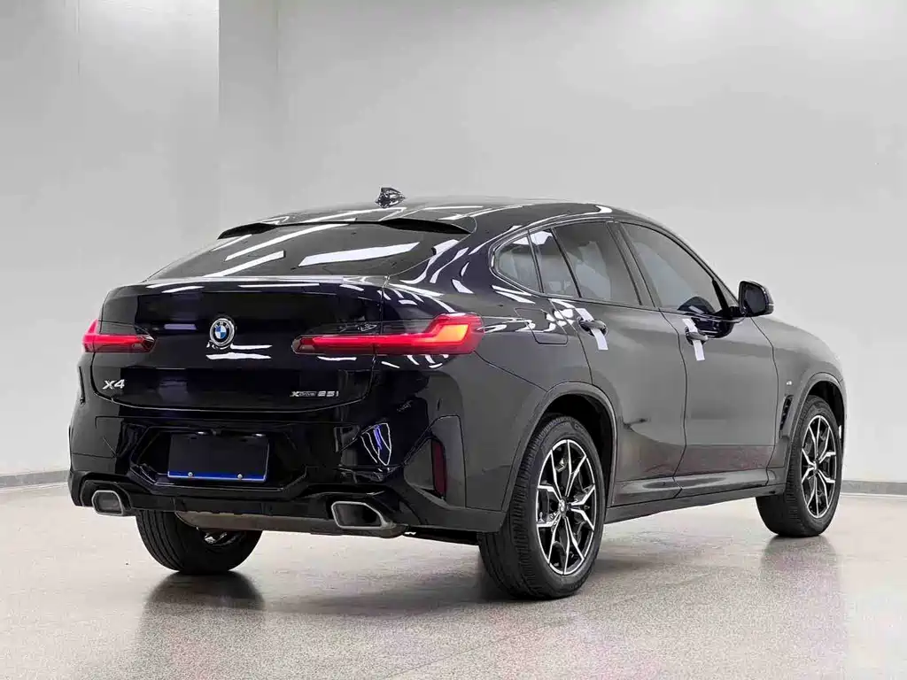 BMW X4 — миниатюра 31
