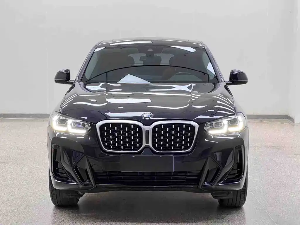 BMW X4 — миниатюра 2