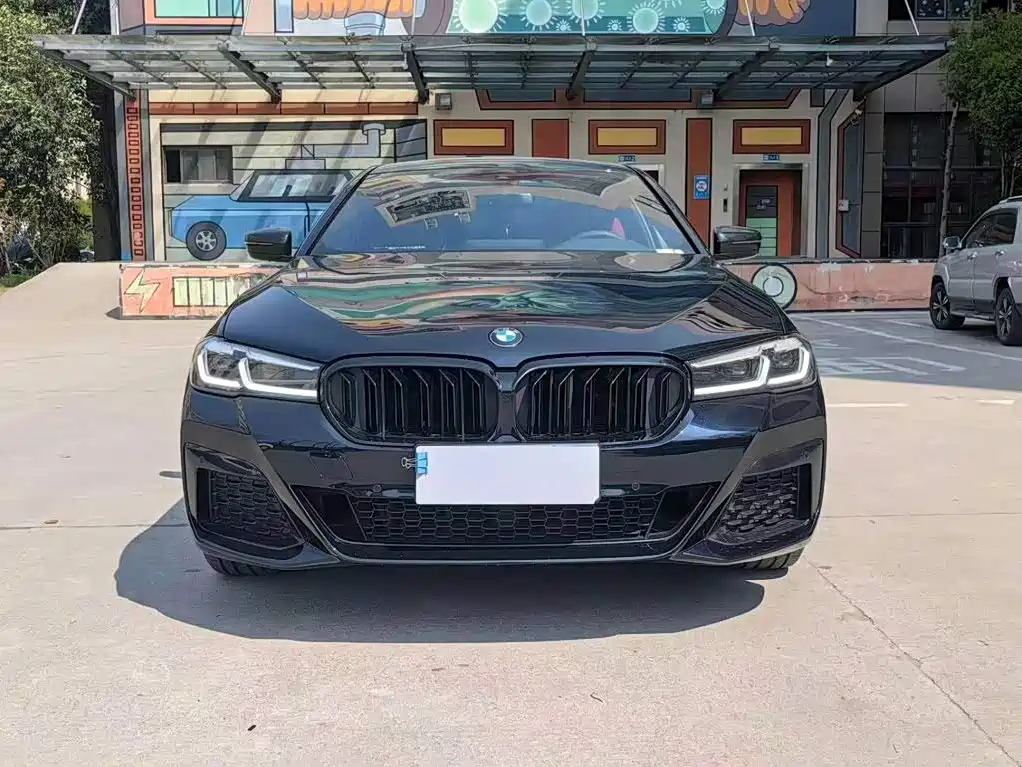 BMW 5 Series — миниатюра 2