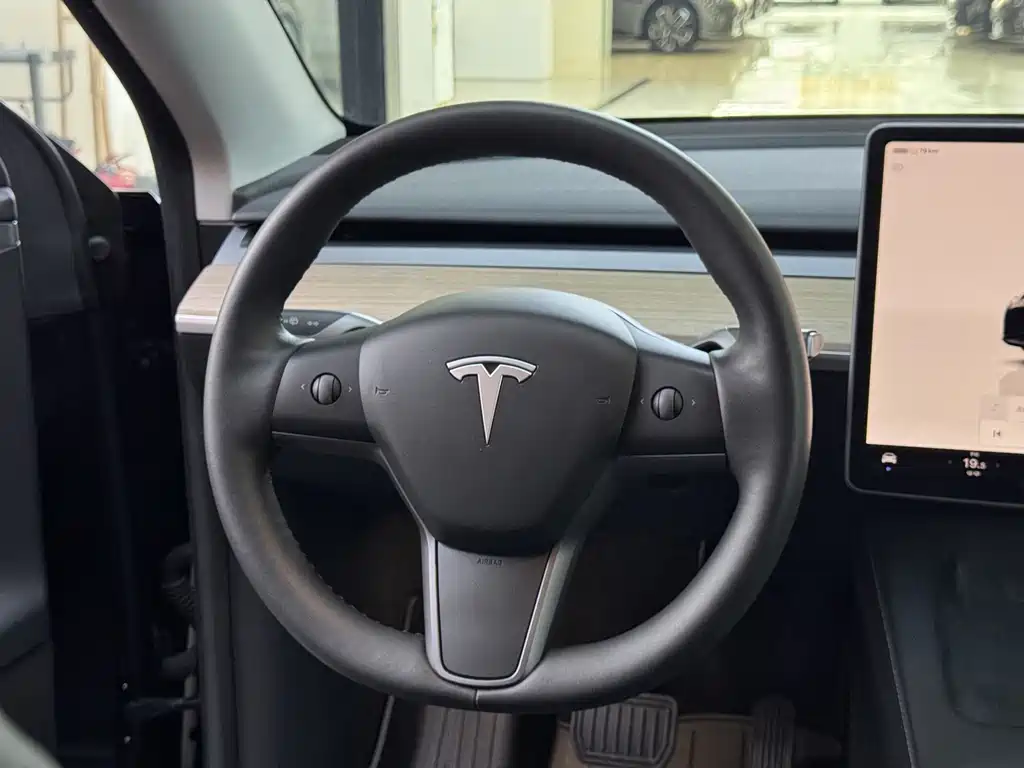Tesla Model Y — миниатюра 13
