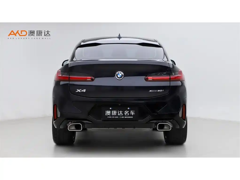 BMW X4 2022 xDrive 30i M Sport
