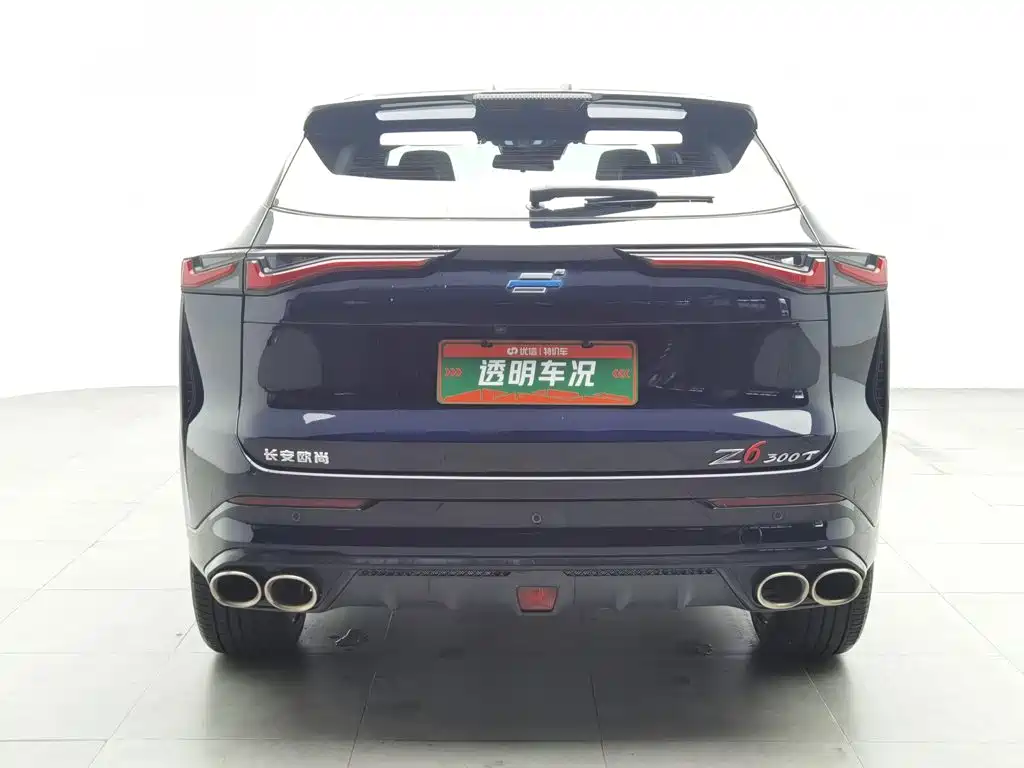 Oshan Oushang Z6 — миниатюра 4