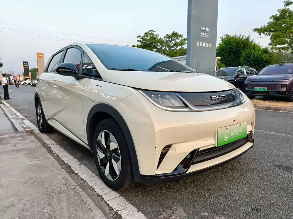 BYD Dolphin — миниатюра 3
