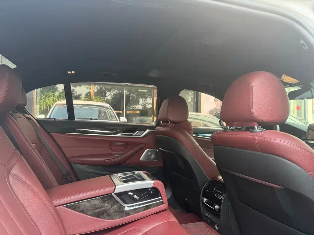 BMW 5 Series 530Li Premium Type M Sport Package, фото 10