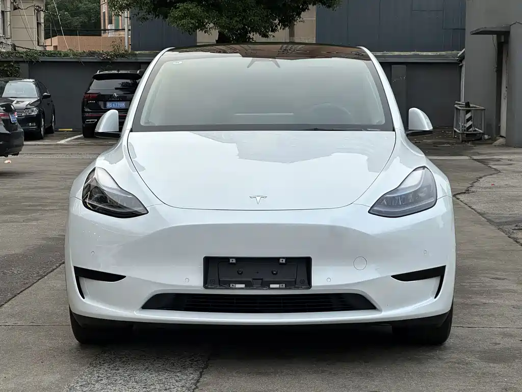 Tesla Model Y — миниатюра 2