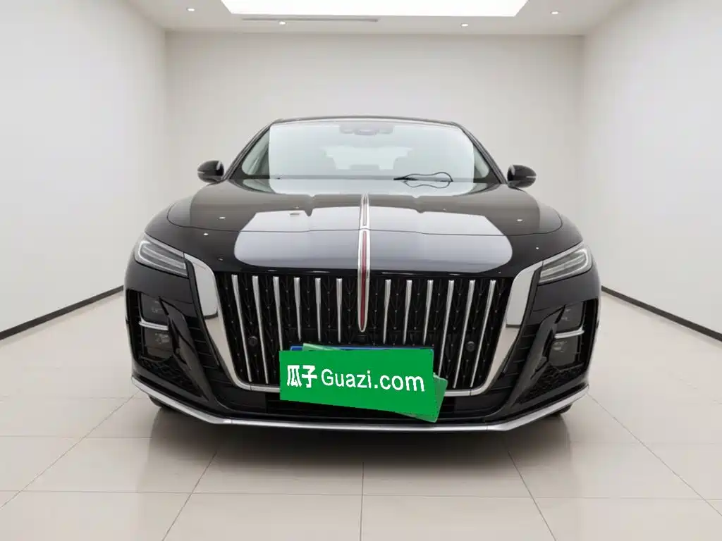 Hongqi Hongqi H5 — миниатюра 2