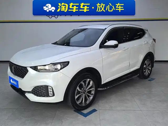 WEI PAI WEI BRAND VV6 2019