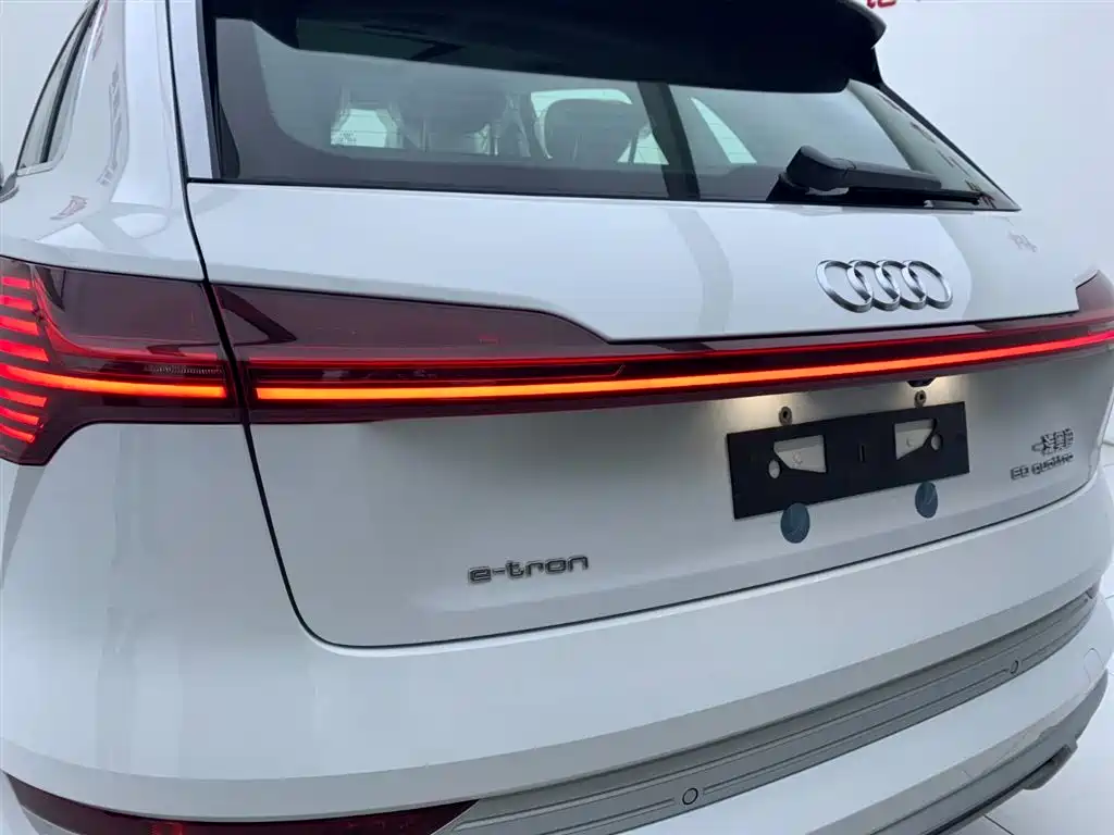 Audi e-tron 2021 50 quattro Luxury