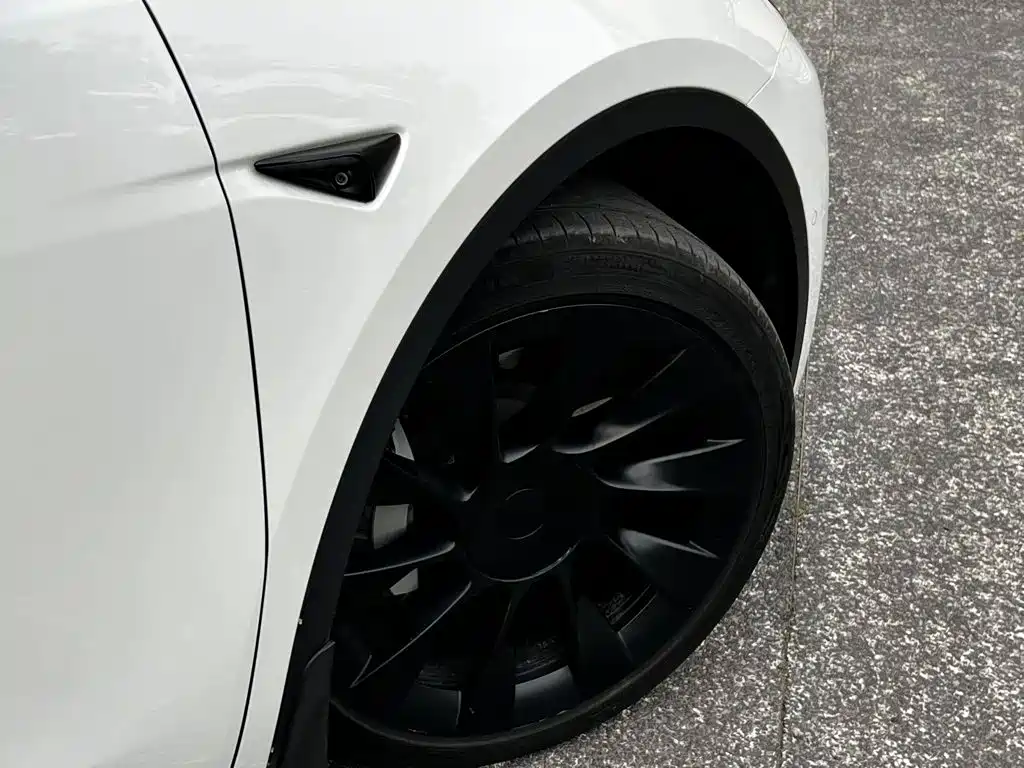 Tesla Model Y — миниатюра 10