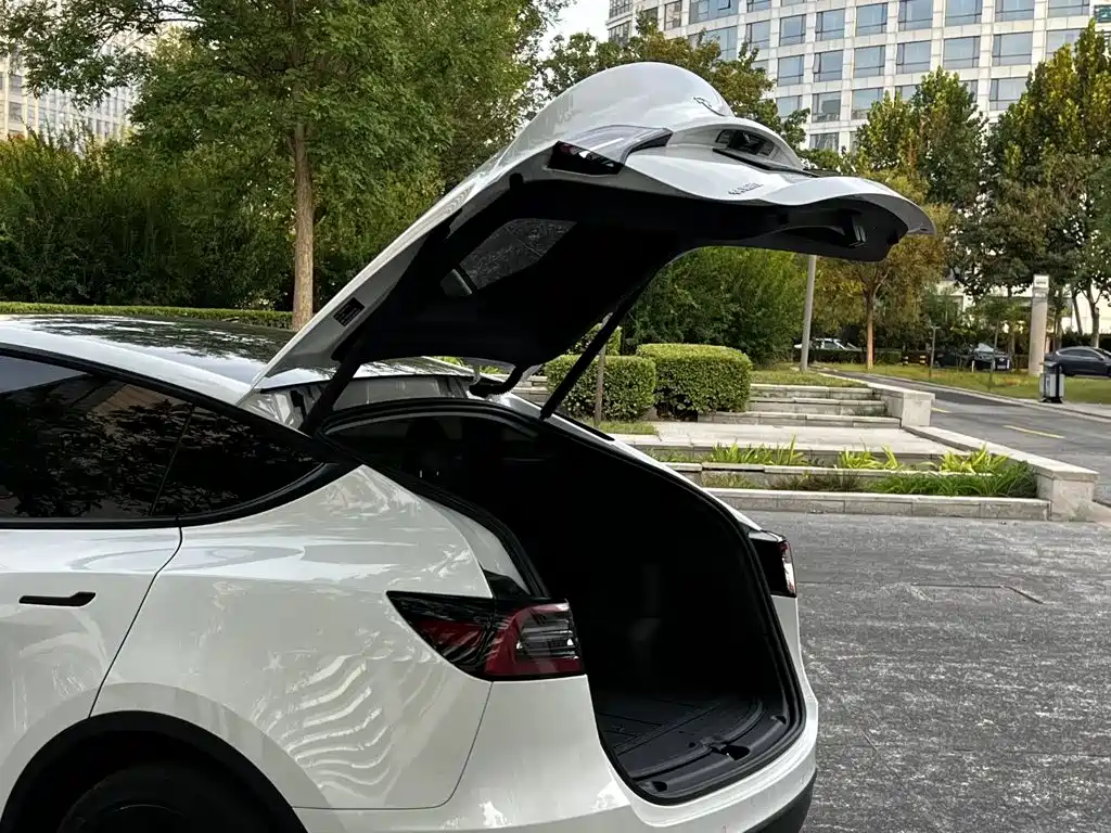 Tesla Model Y — миниатюра 14