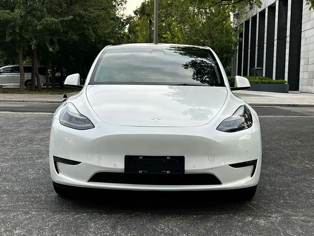 Tesla Model Y — миниатюра 2
