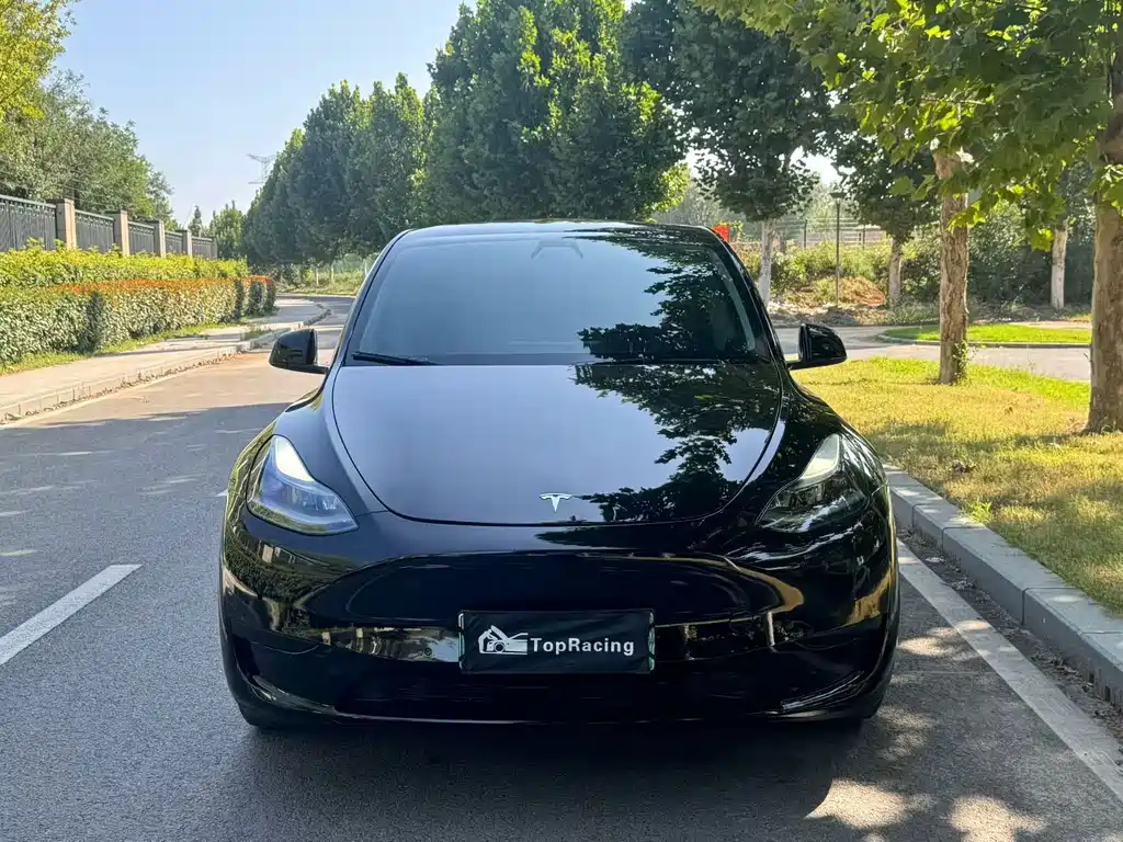 Tesla Model Y — миниатюра 2