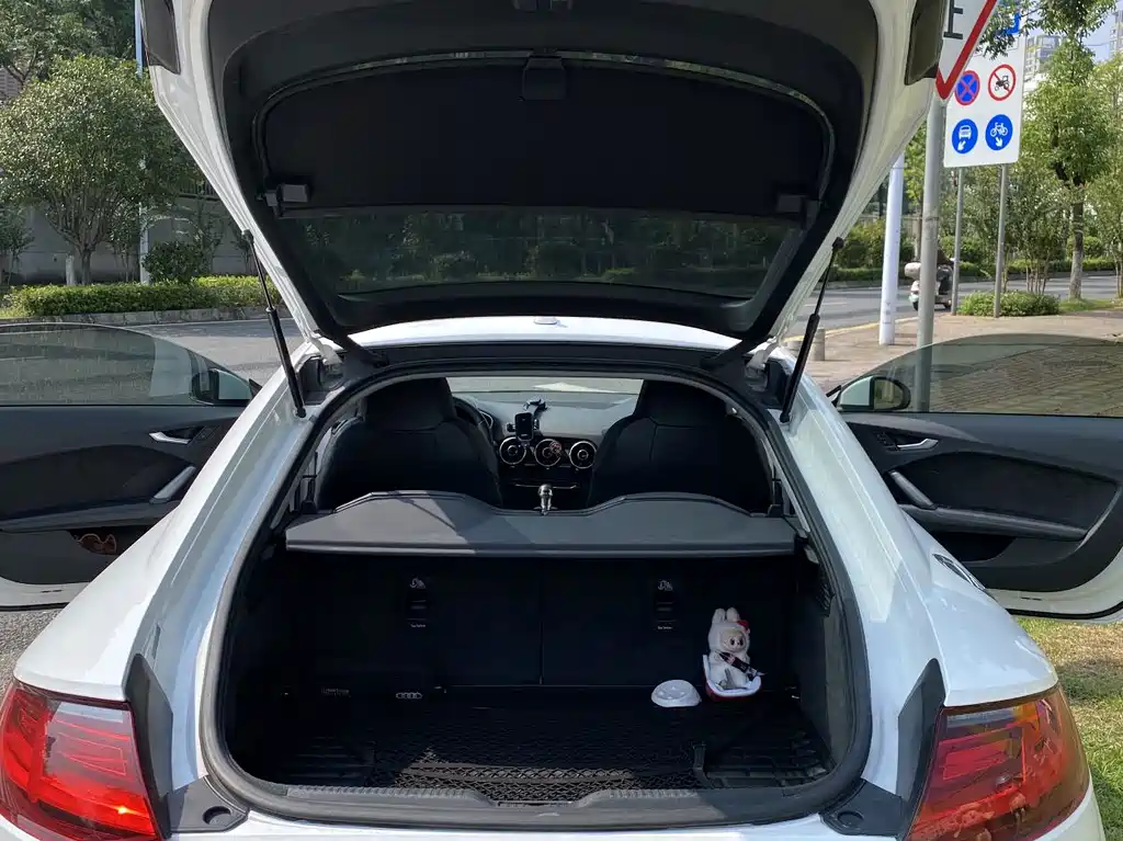 Audi TT — миниатюра 13