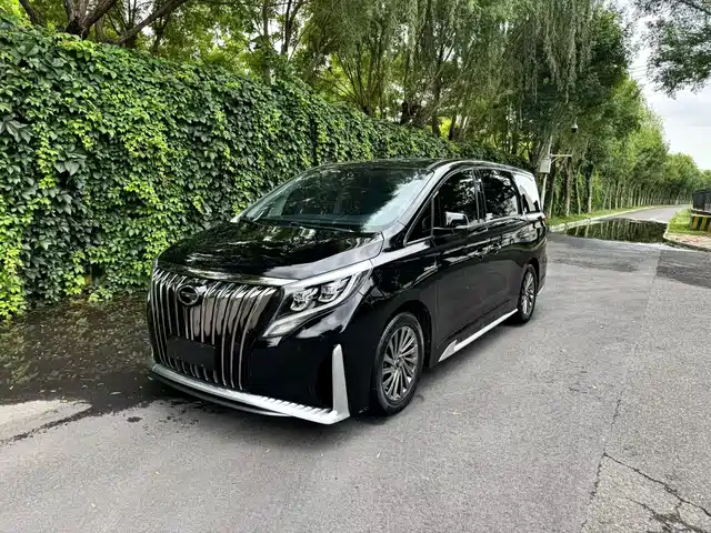 2022 GAC GN8
