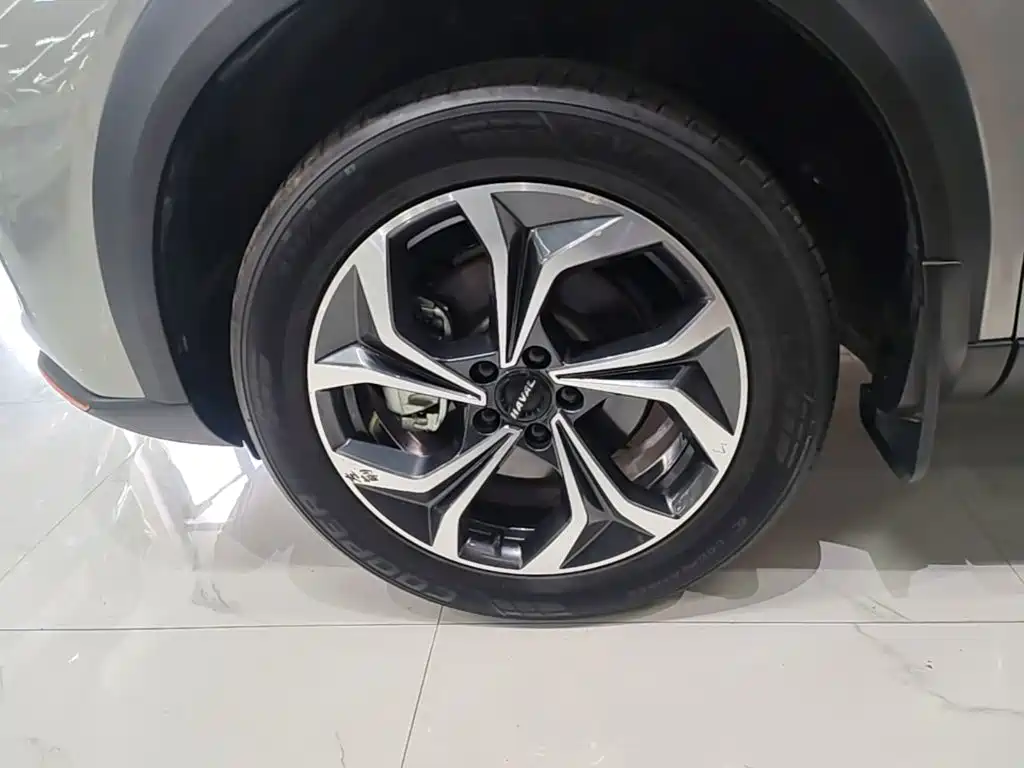 Haval Shenshou — миниатюра 23