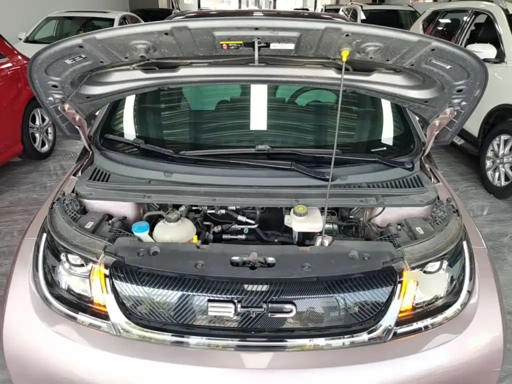 BYD Dolphin — миниатюра 20