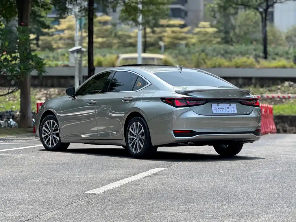 Lexus ES 300h Premium Enjoy Edition, фото 4