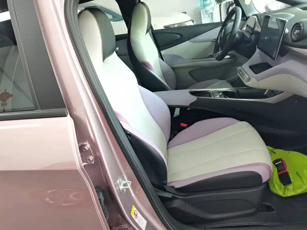 BYD Dolphin — миниатюра 25