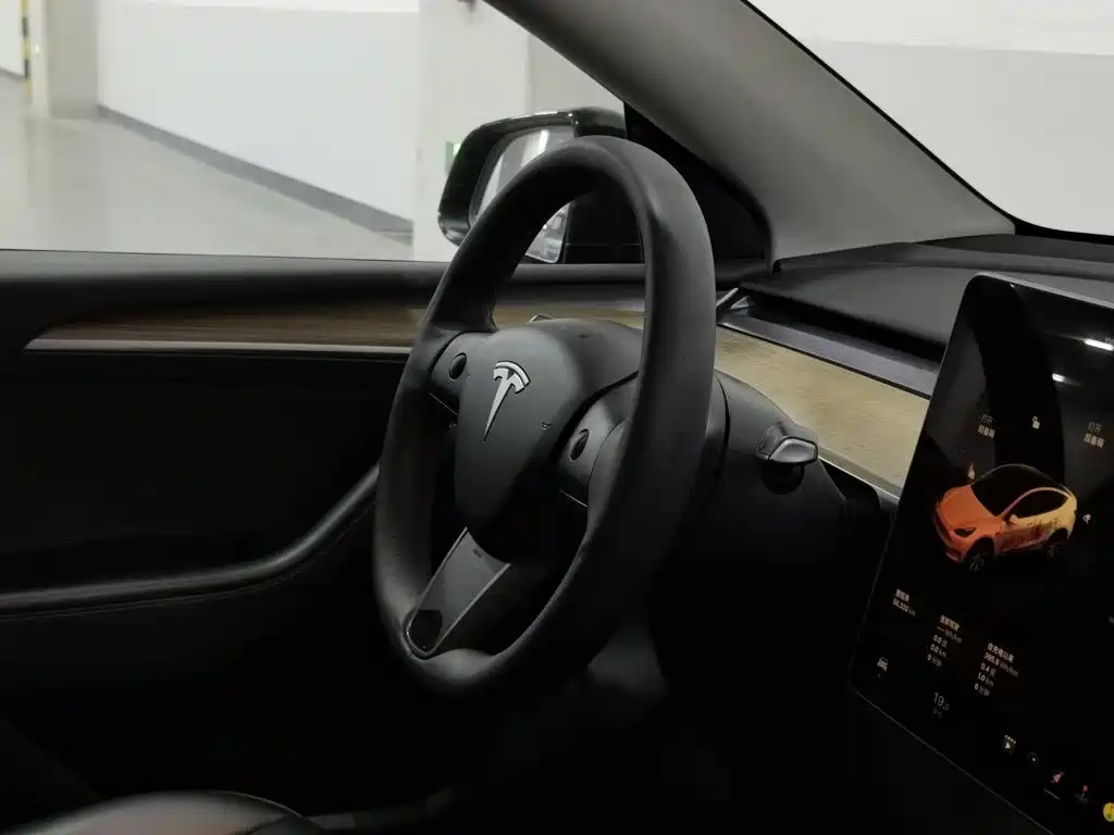 Tesla Model Y — миниатюра 22