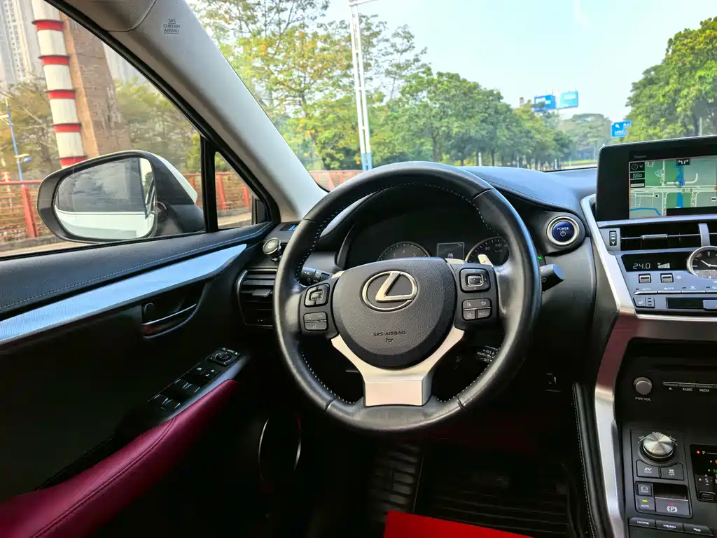LEXUS NX