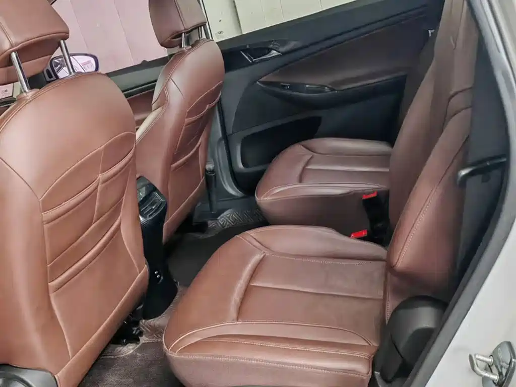 Buick GL6 — миниатюра 14