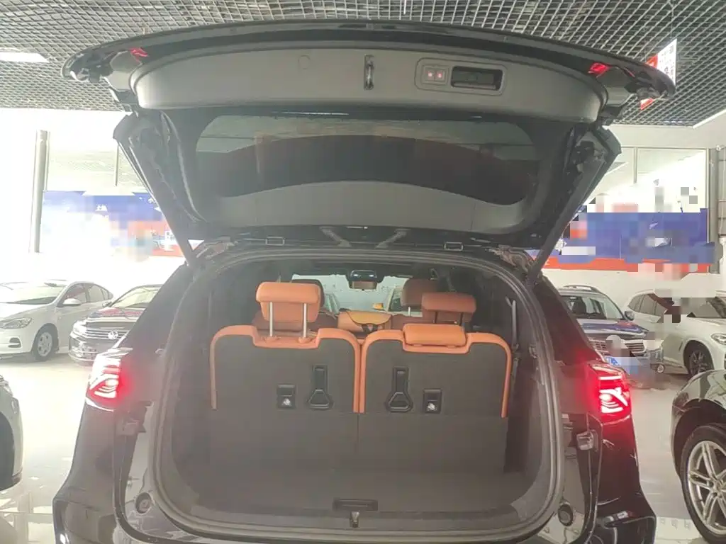 BYD Tang New Energy — миниатюра 19