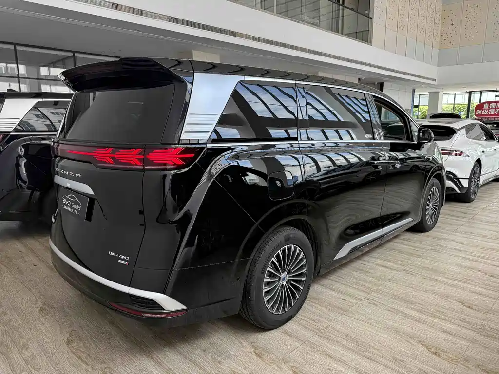 Denza Denza D9 — миниатюра 4