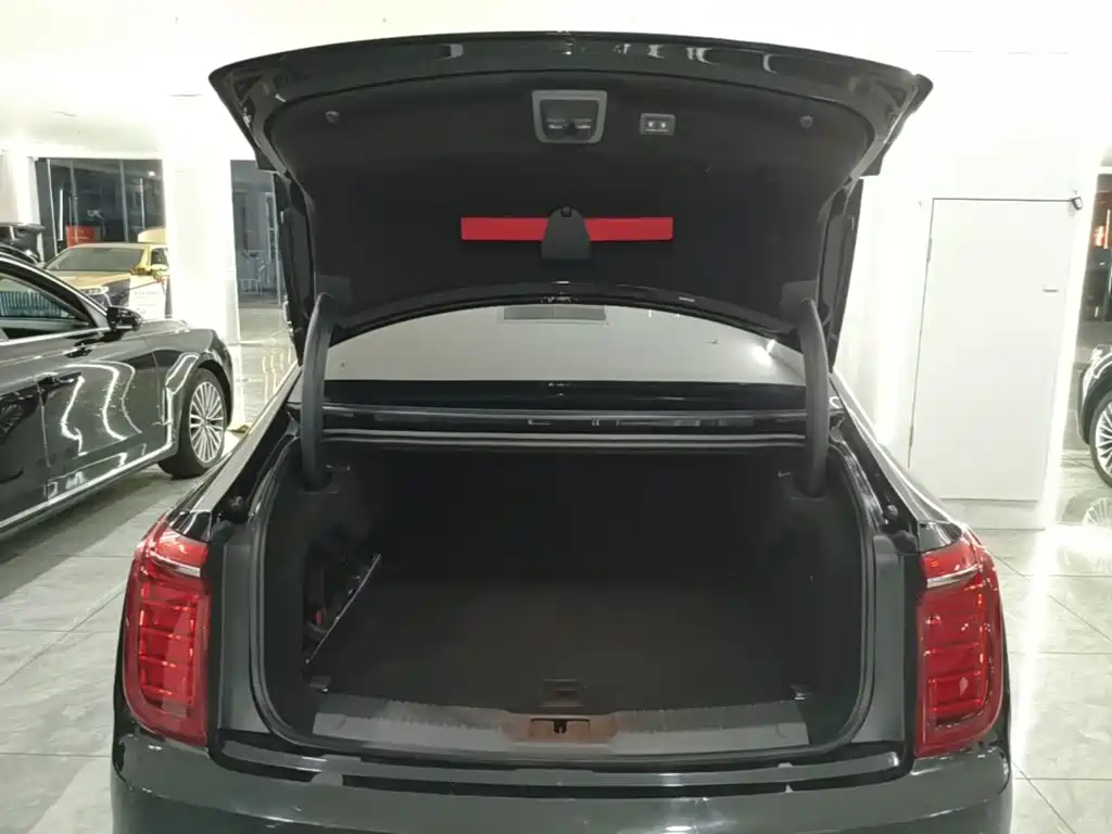 Hongqi Hongqi H9 — миниатюра 19