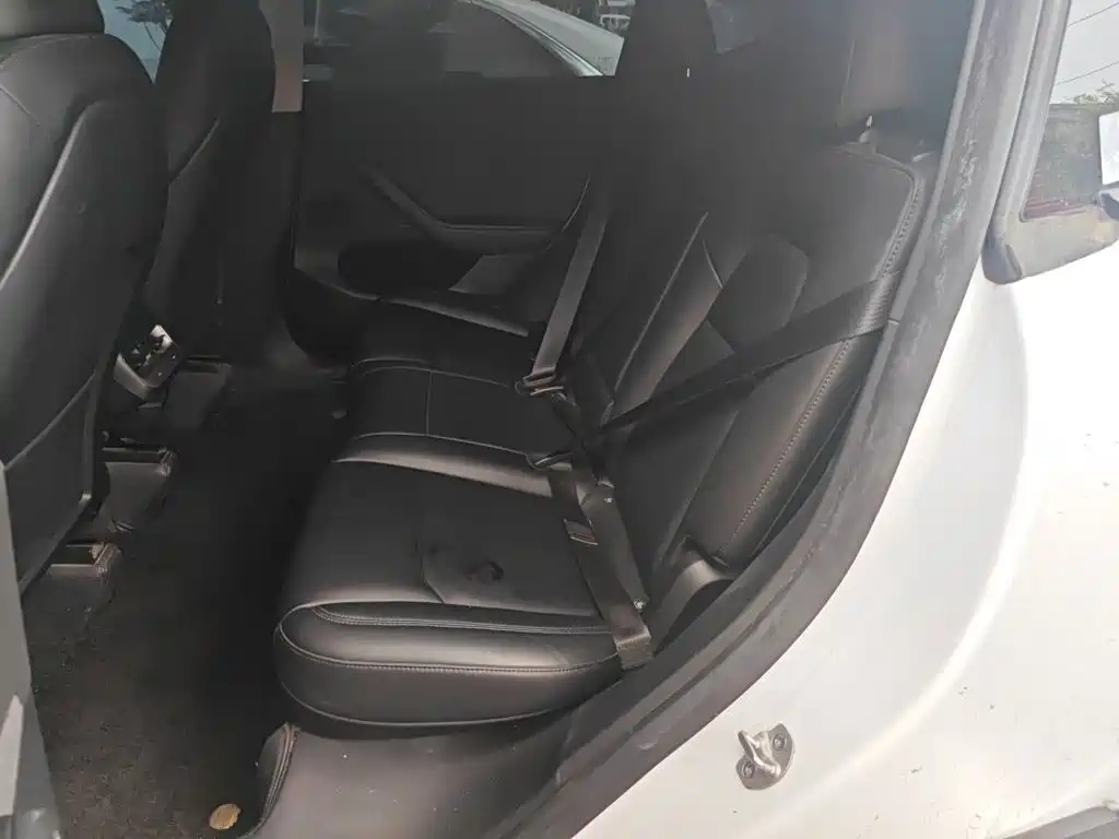 Tesla Model Y — миниатюра 13