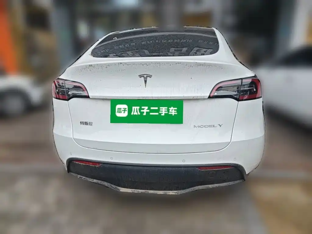 Tesla Model Y — миниатюра 3