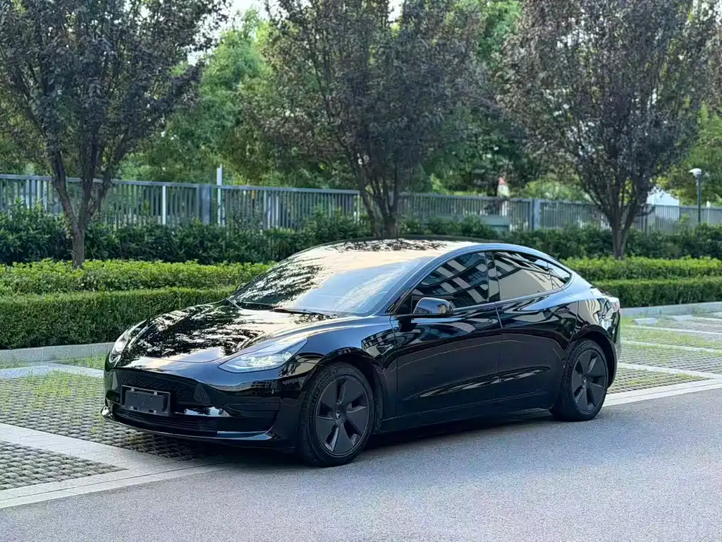 Tesla Model 3 — миниатюра 2