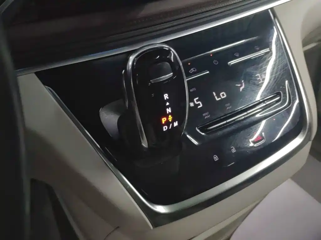 Buick GL8 — миниатюра 14