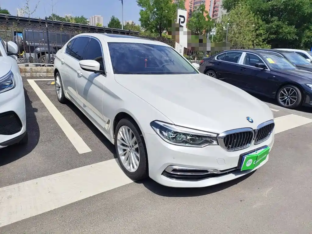 BMW 5 Series 5 2020 530Li xDrive Luxury