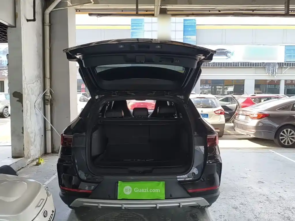 BYD PLUS — миниатюра 19