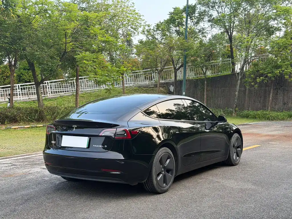 Tesla Model 3 — миниатюра 6