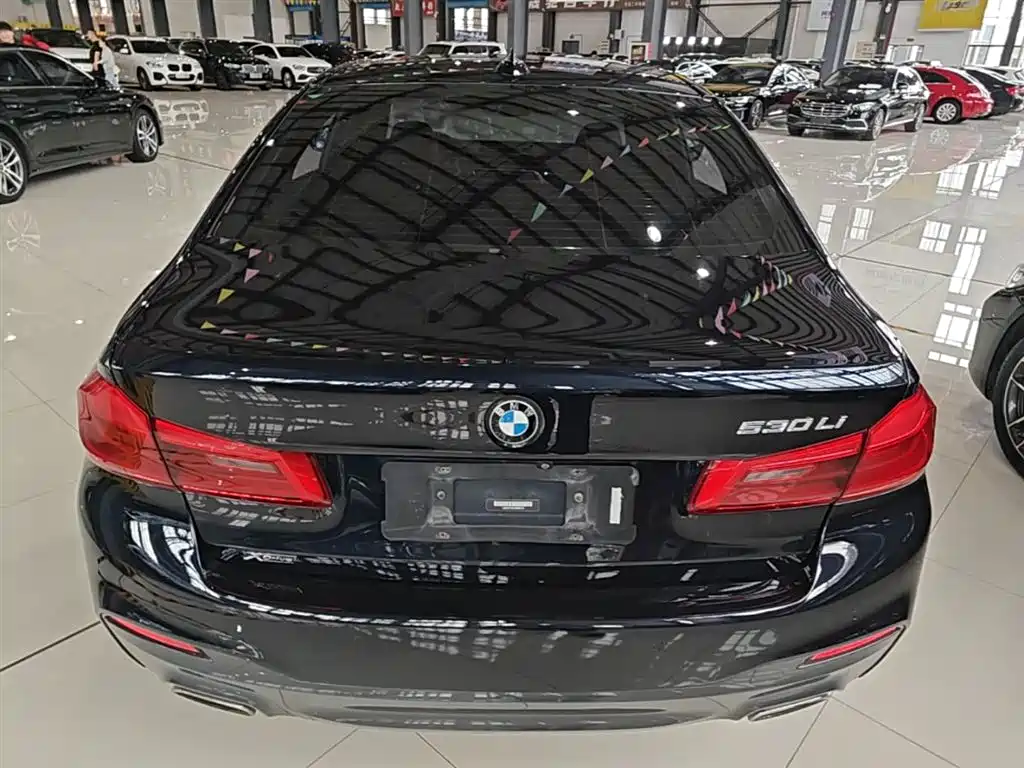 BMW 5 Series 5 2018 530Li xDrive M Sport