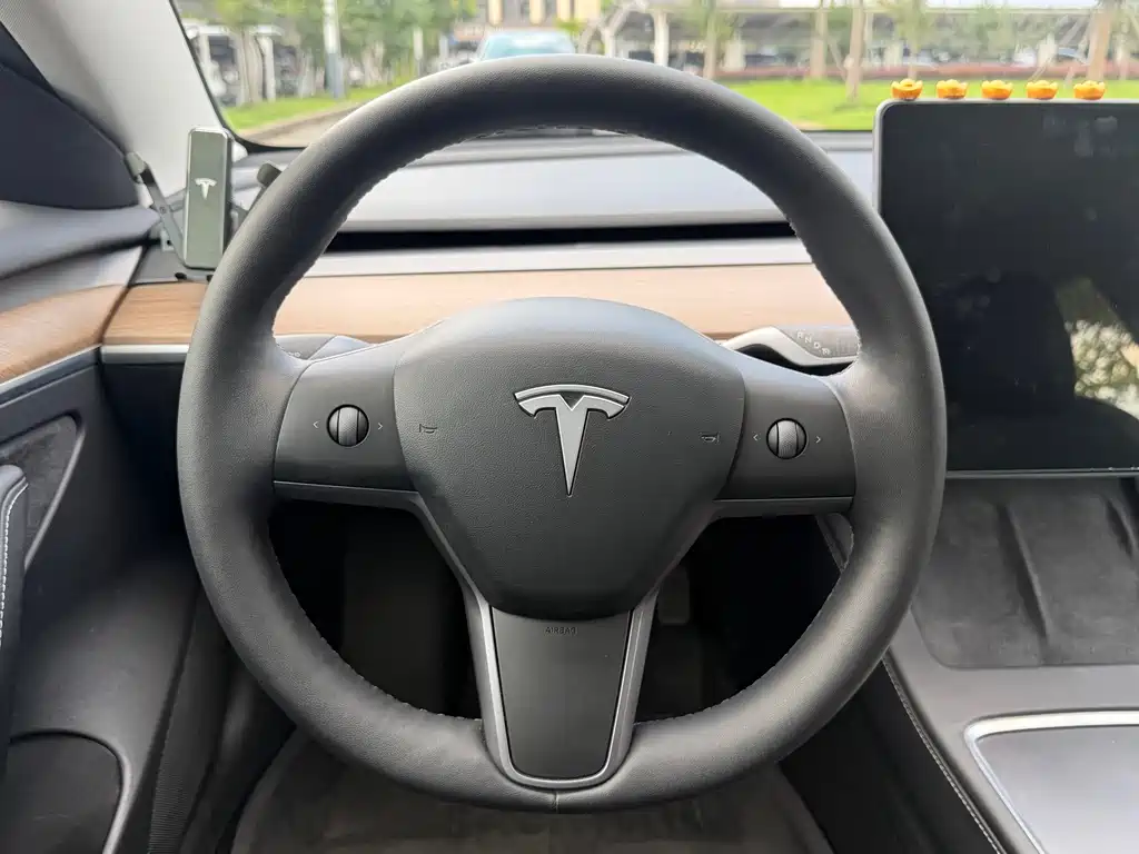 Tesla Model 3 — миниатюра 15