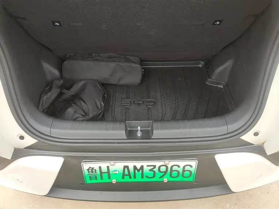BYD Seagull 2025 Smart Drive 305km Freedom