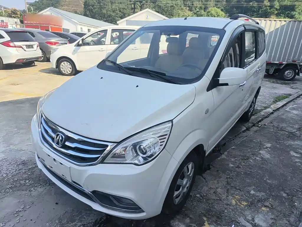 BAW Weiwang M20 — миниатюра 2