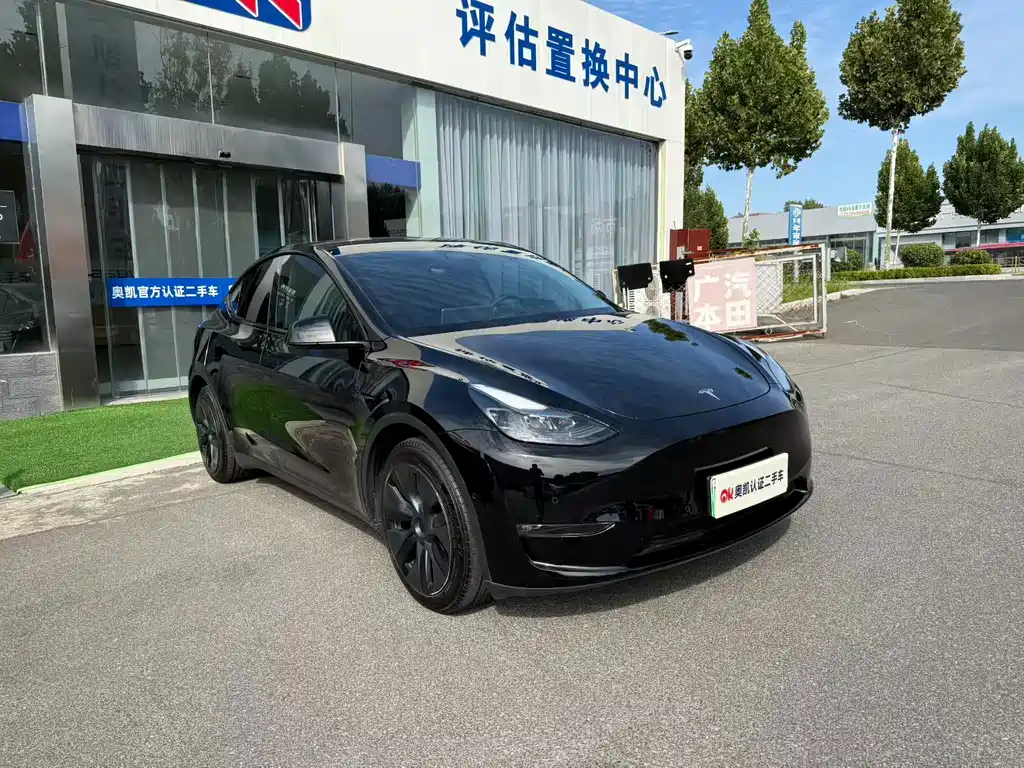 Tesla Model Y — миниатюра 2