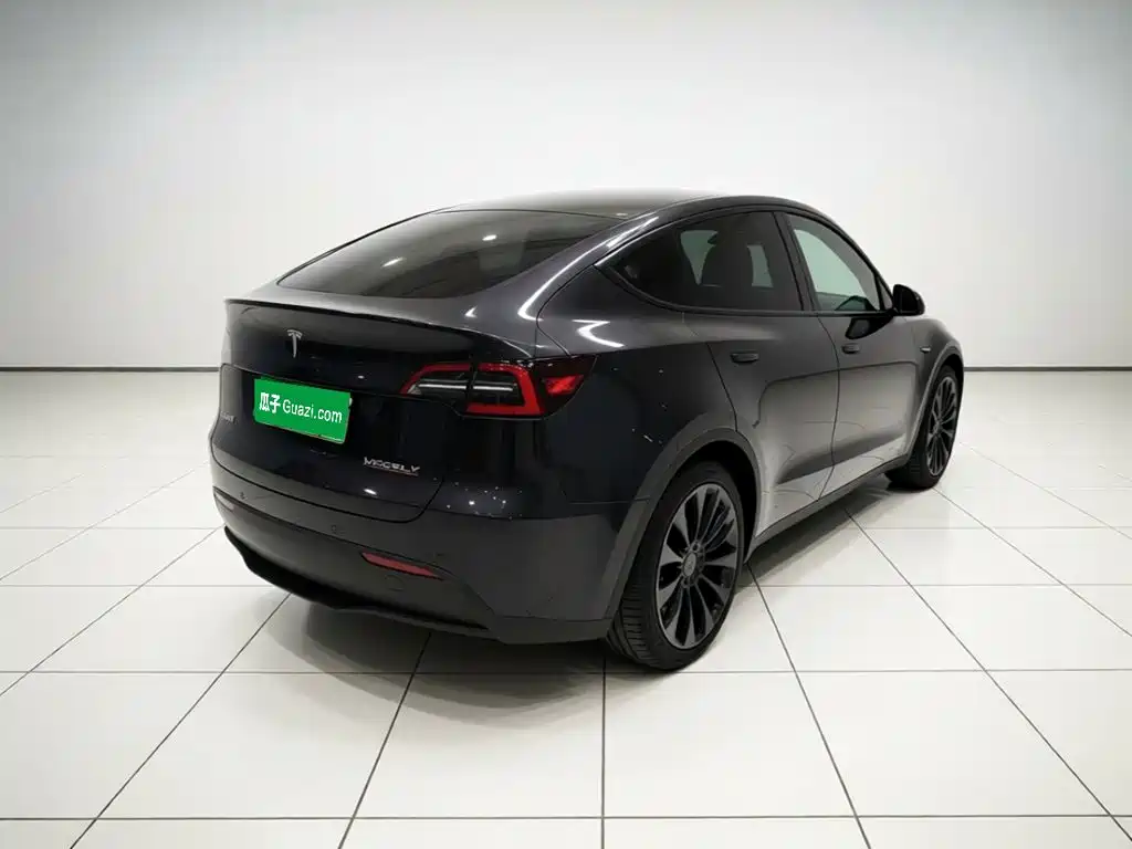 Tesla Model Y — миниатюра 6