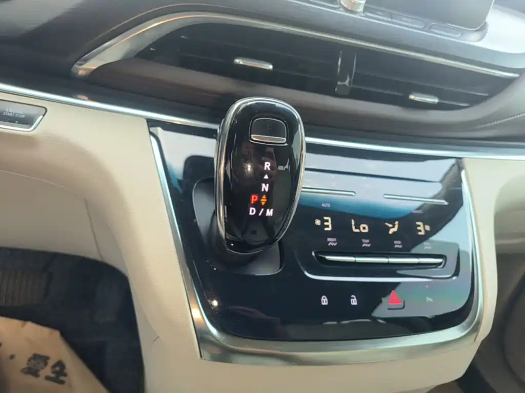 Buick GL8 — миниатюра 14