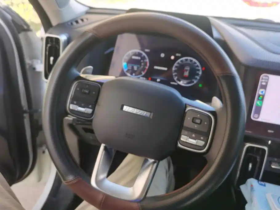 Haval Big Dog — миниатюра 15