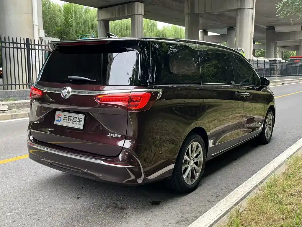Buick GL8 — миниатюра 5