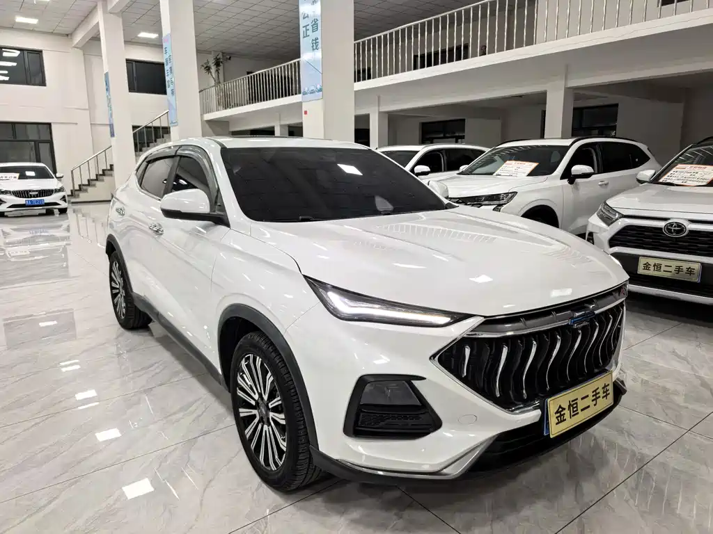 Oshan Oushang X5 — миниатюра 3