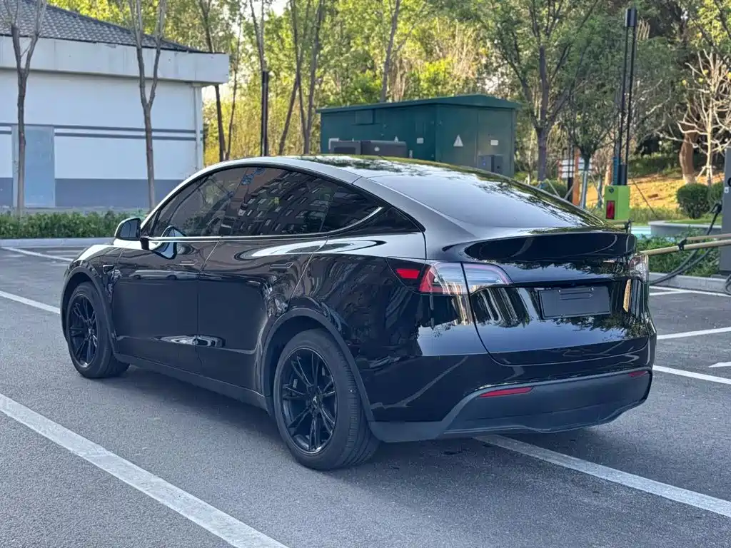 Tesla Model Y — миниатюра 6