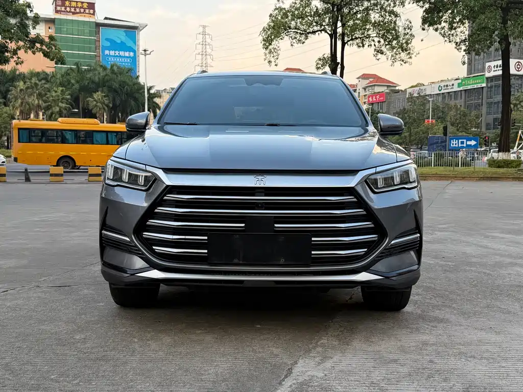 BYD Pro New Energy — миниатюра 2